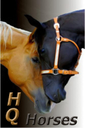 (c) Hq-horses.de